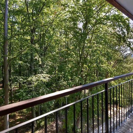 Gorski Z Widokiem I Parkingiem By Renters Szklarska Poręba