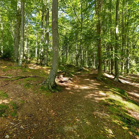 Gorski Z Widokiem I Parkingiem By Renters *